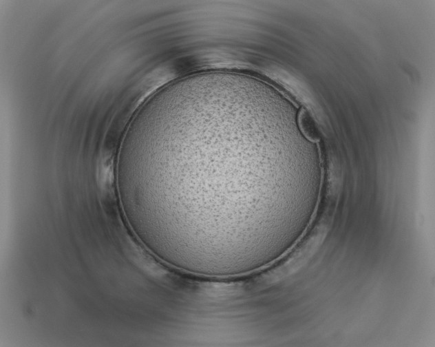 X0000113981281200910161614