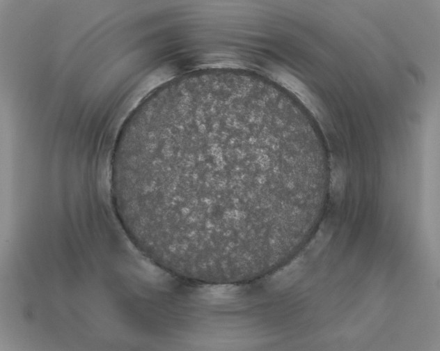 X0000113981282200910161614