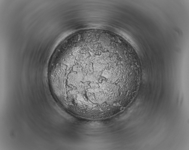 X0000113981283200910161614