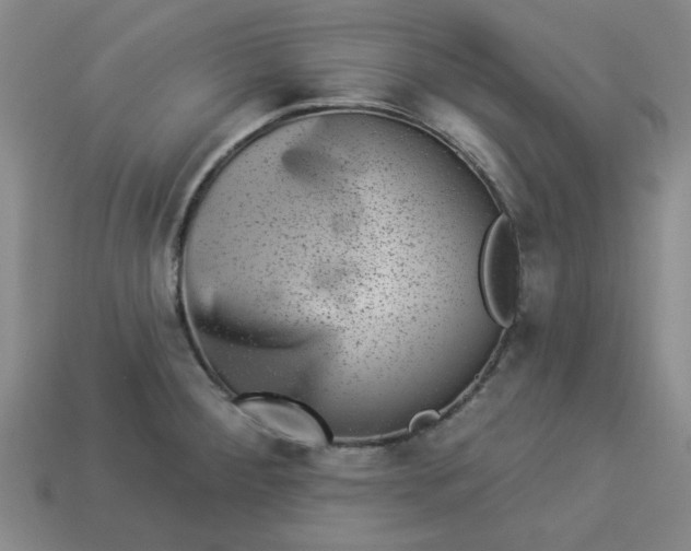 X0000113981284200910161614