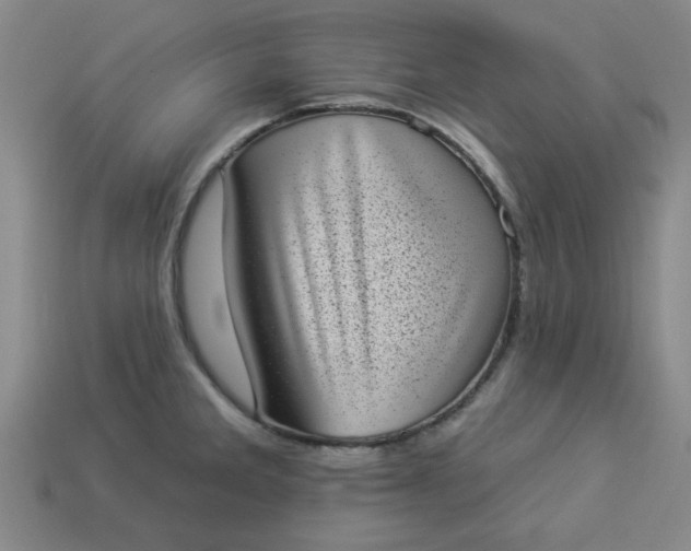 X0000113981285200910161614