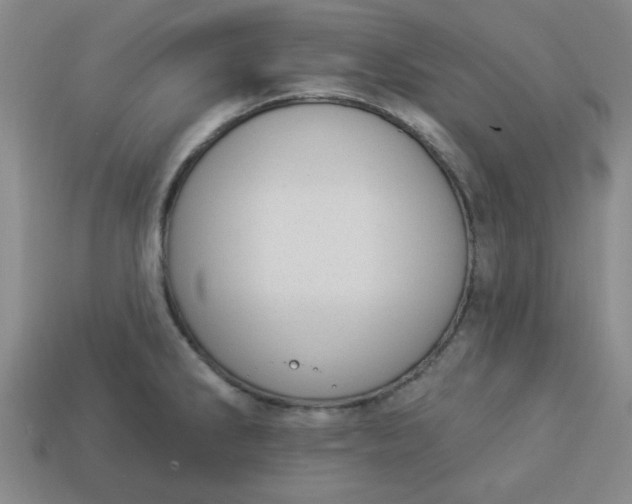 X0000113981286200910161614