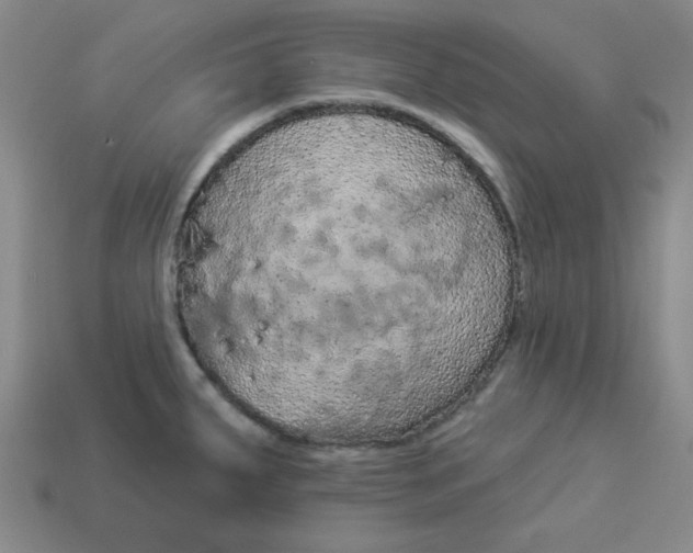 X0000113981287200910161614