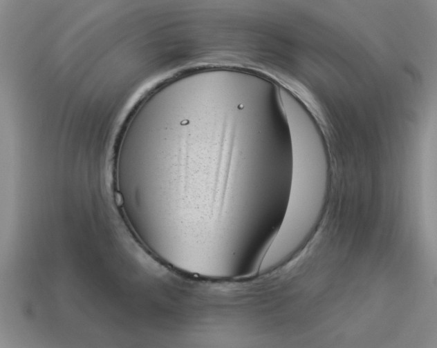 X0000113981288200910161614