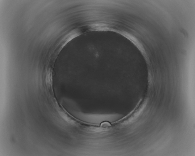 X0000113981289200910161614