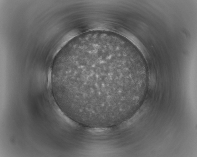 X0000113981290200910161614