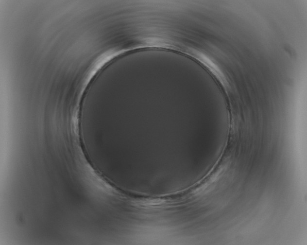 X0000113981291200910161614