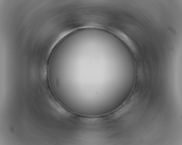 X0000113981292200910161614