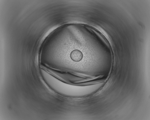 X0000113981293200910161614