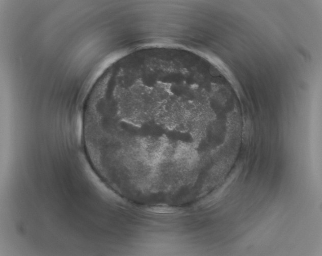 X0000113981295200910161614