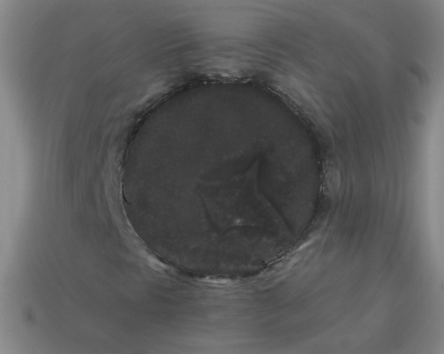 X0000113981297200910161613