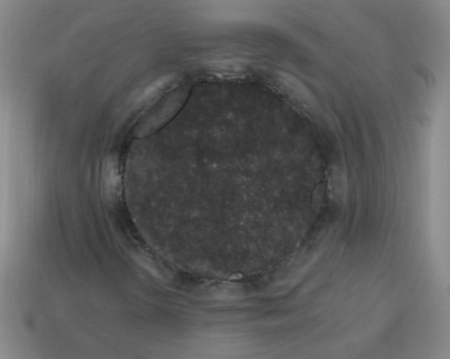 X0000113981298200910161613