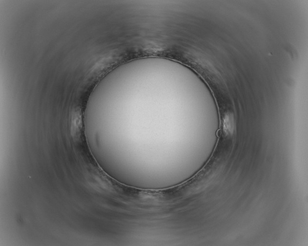 X0000113981299200910161613