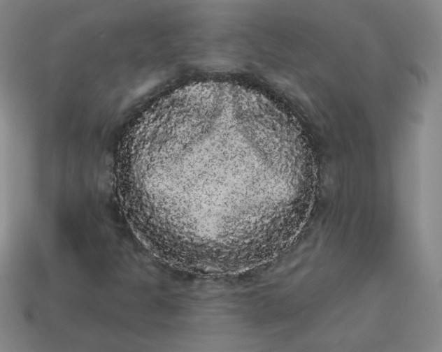 X0000113981301200910161613