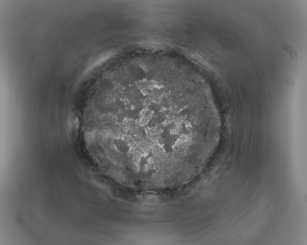 X0000113981302200910161613