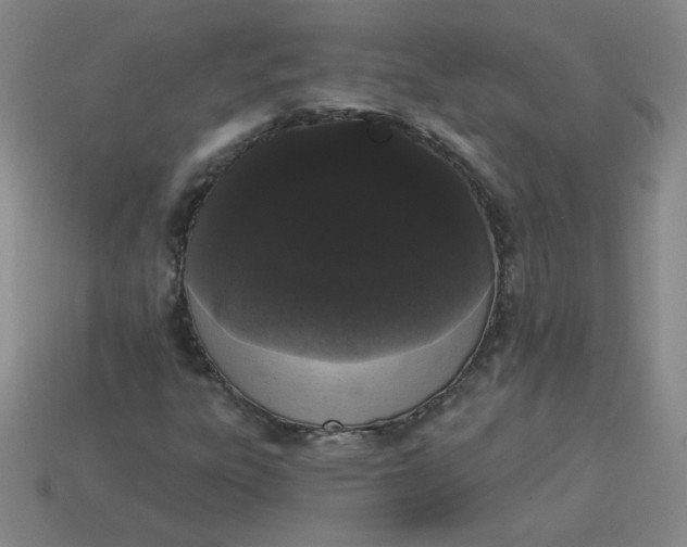 X0000113981303200910161613