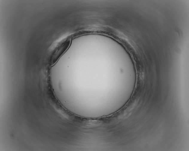 X0000113981304200910161613