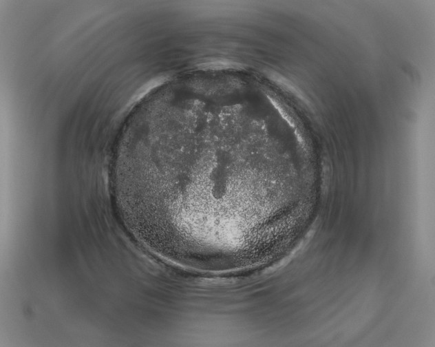 X0000113981305200910161613