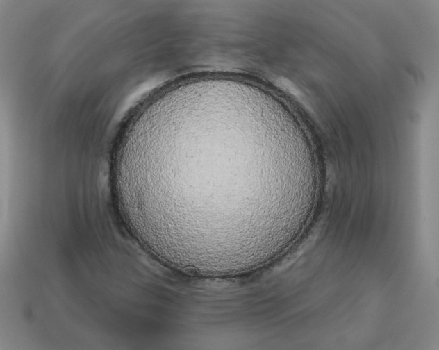 X0000113981307200910161613