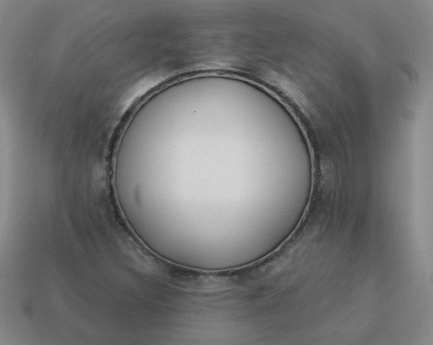 X0000113981308200910161613