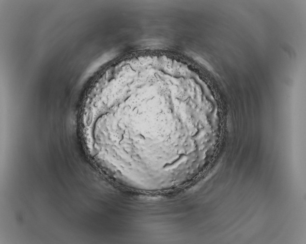 X0000113981309200910161613