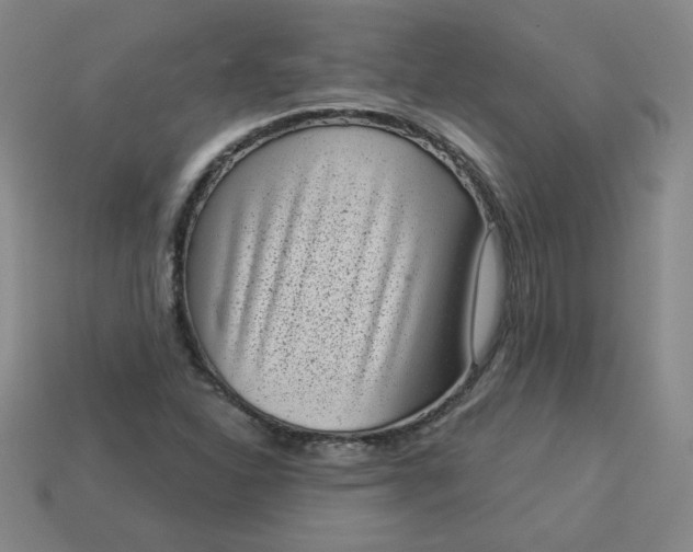 X0000113981310200910161613