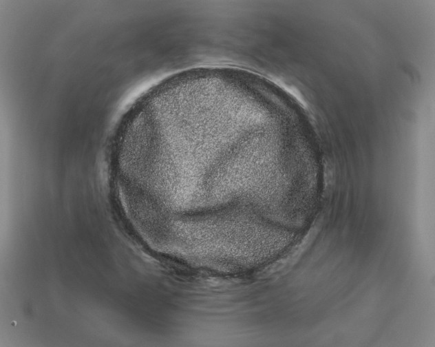 X0000113981311200910161613