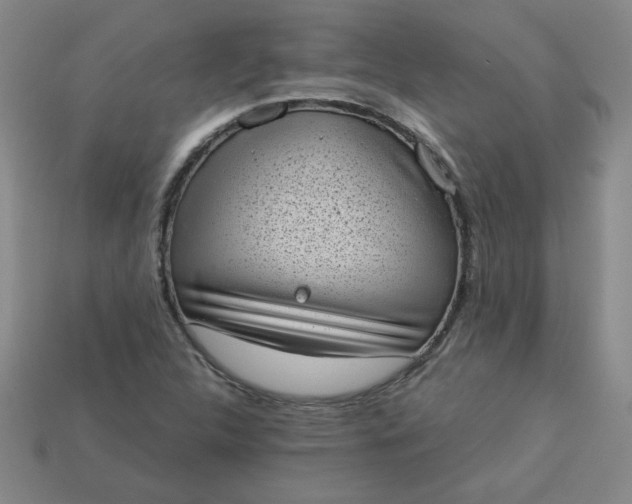 X0000113981312200910161613