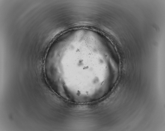 X0000113981313200910161613