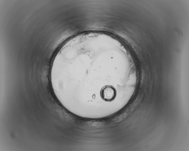 X0000113981314200910161613