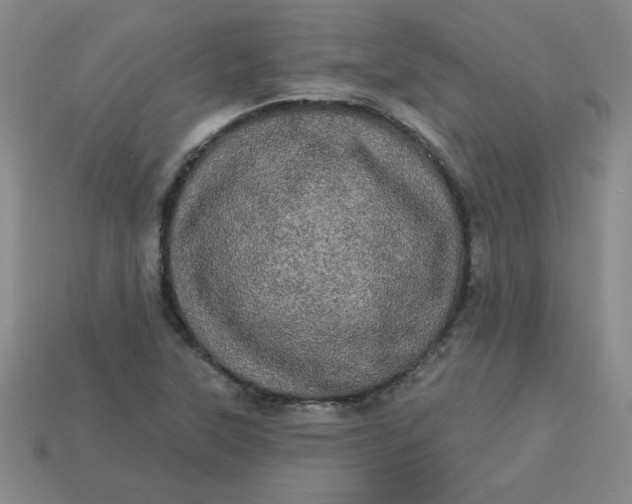 X0000113981315200910161613