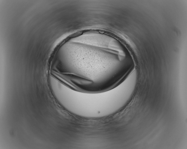 X0000113981316200910161613