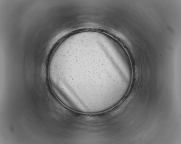 X0000113981318200910161613