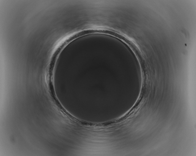 X0000113981319200910161613