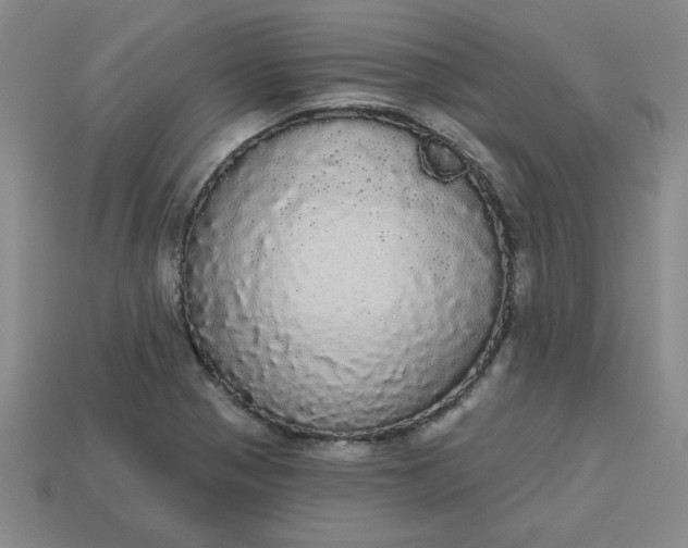 X0000113981321200910161613