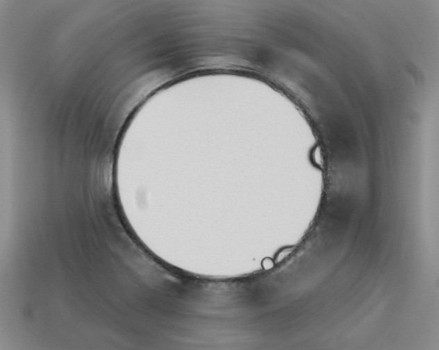 X0000113981322200910161613