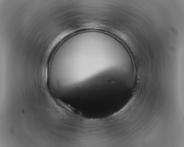 X0000113981323200910161613