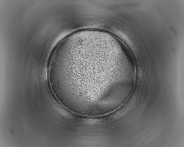 X0000113981324200910161613