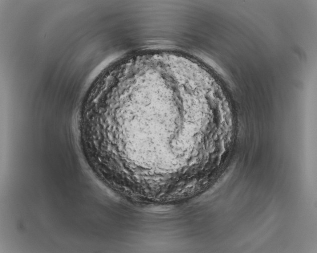 X0000113981325200910161613