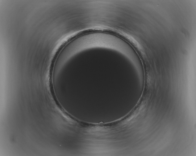 X0000113981327200910161613