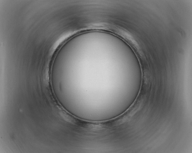 X0000113981328200910161613