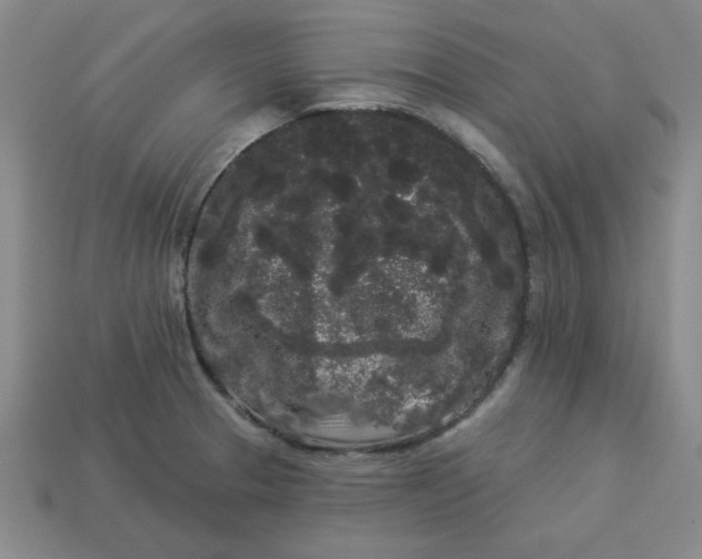 X0000113981329200910161613