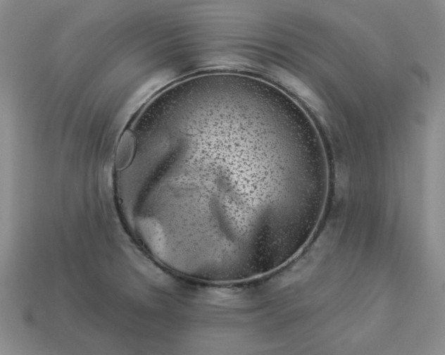 X0000113981330200910161614