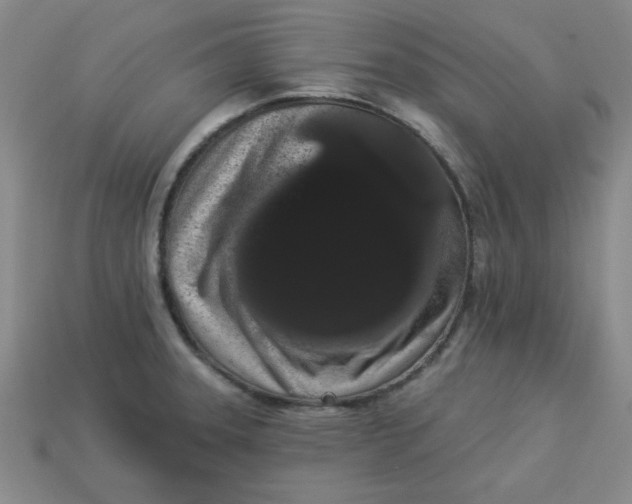 X0000113981331200910161614