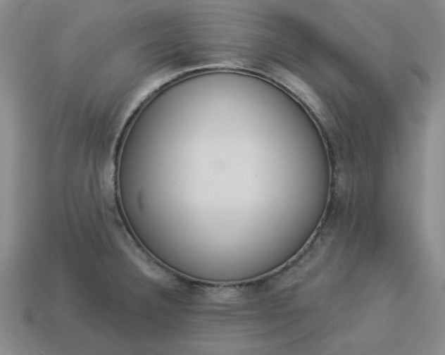 X0000113981332200910161614