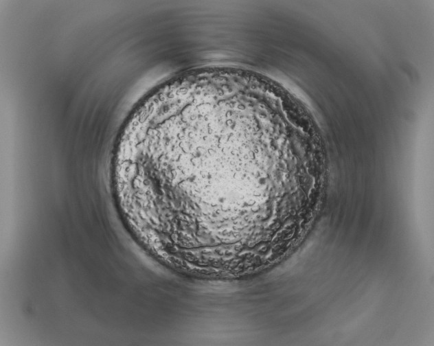 X0000113981333200910161614