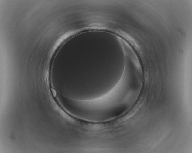 X0000113981334200910161614