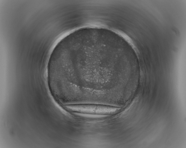 X0000113981335200910161614