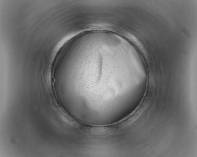 X0000113981336200910161614