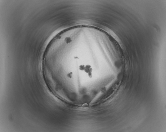 X0000113981339200910161614